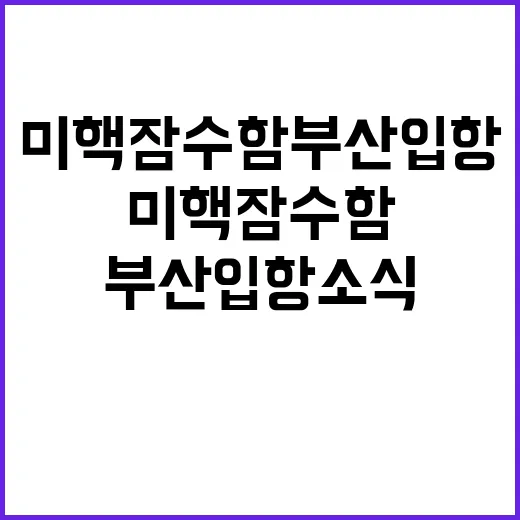 미 핵잠수함 부산 입항 소식 화제!