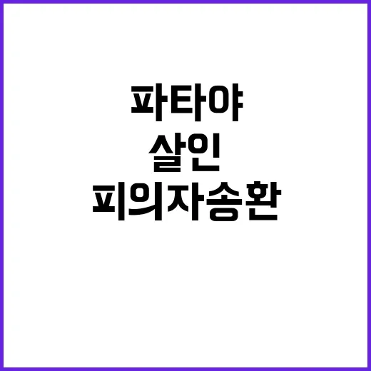 파타야 살인 피의자…