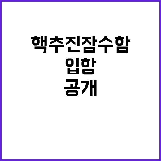 핵추진 잠수함 입항…