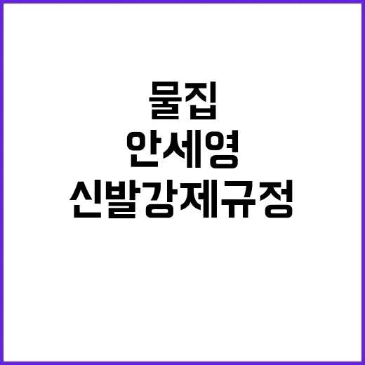 안세영 물집 원인 신발 강제 규정 개선 예고!