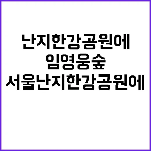 임영웅 숲 서울 난지한강공원에 새롭게 탄생!