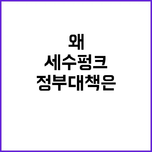 세수 펑크…정부 대…