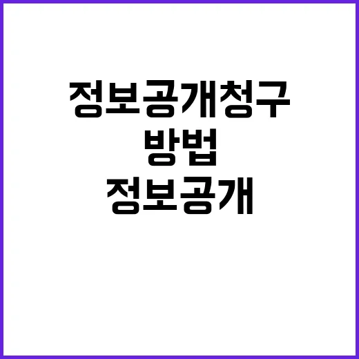 정보공개 청구 빠르고 간편해진 방법 공개!