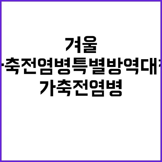 겨울 가축 전염병 특별방역대책으로 살릴 수 있다!