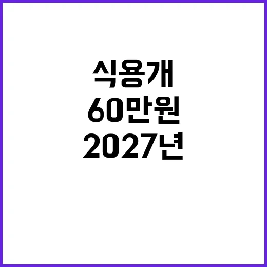 식용개 보상금 60만원 지급…2027년 처벌 시작!