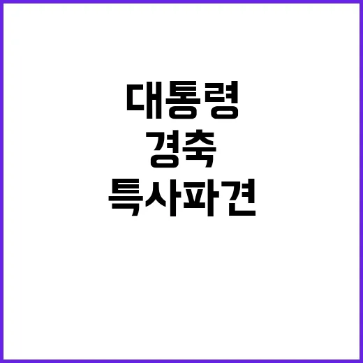 특사 파견 윤 대통…