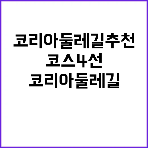 코리아둘레길 추천 필수코스 4선 공개!