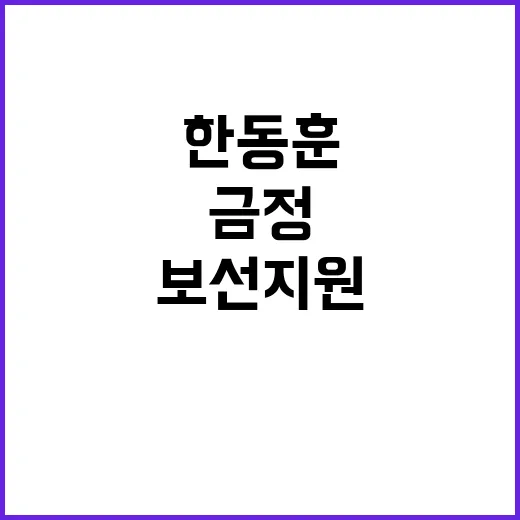 한동훈 금정 보선 …