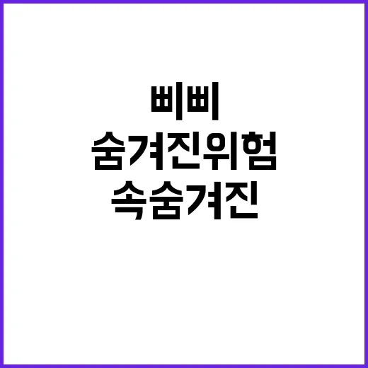 폭탄 발견 삐삐 배…