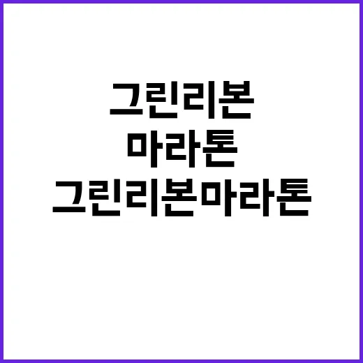 그린리본마라톤 안전…