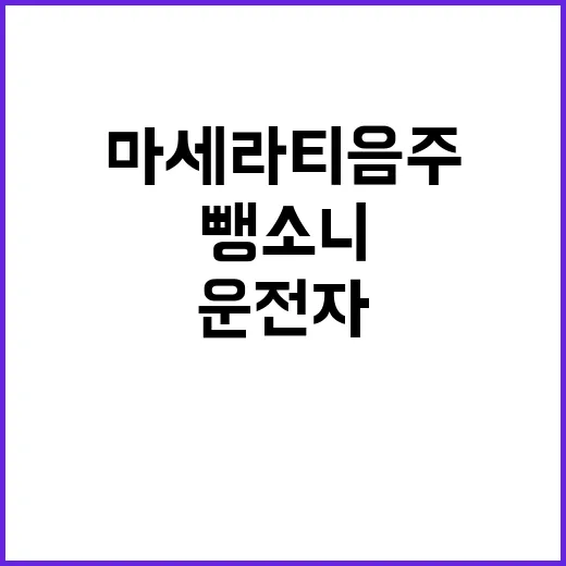 마세라티 음주 뺑소니 운전자의 심사 포기 이유 공개