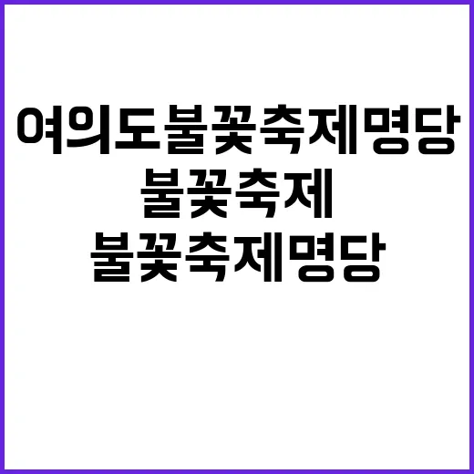 여의도 불꽃축제 명당 고액 대란 발생!