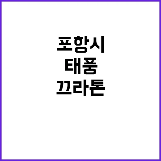 태풍 끄라톤 포항시 긴급 상황판단회의 소집!