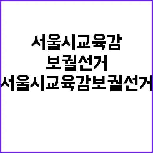 서울시 교육감 보궐…