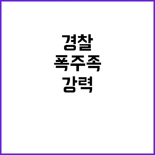 폭주족 단속 광주 …