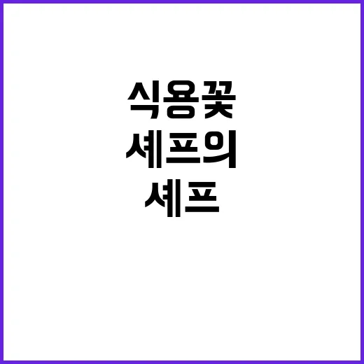 “식용 꽃 안성재 셰프의 반대에도 건강에 유익!”