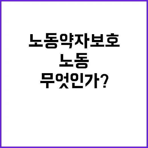 노동약자 보호 새로…