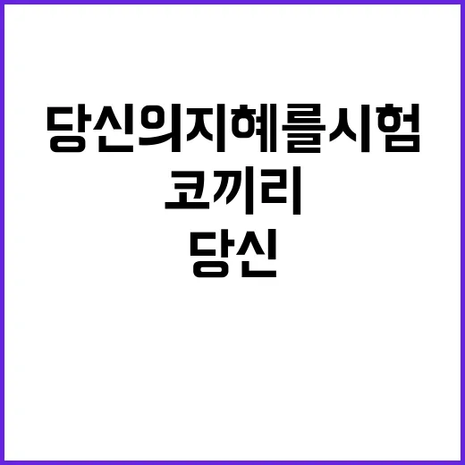 코끼리 문제 당신의…