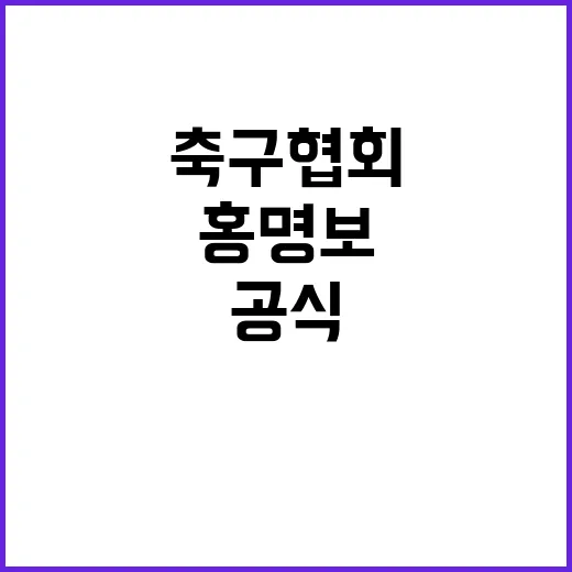 홍명보 감사결과 발…