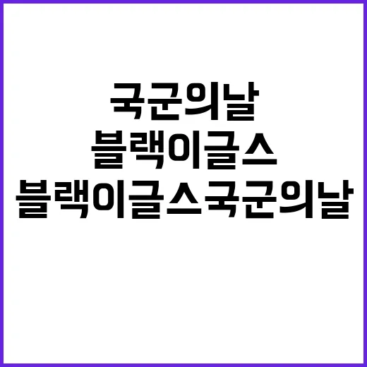 블랙이글스 국군의 날 하늘을 빛내다!