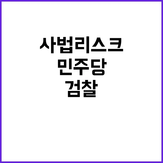 사법 리스크 민주당…