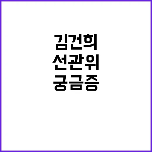 선관위 김건희 처벌…