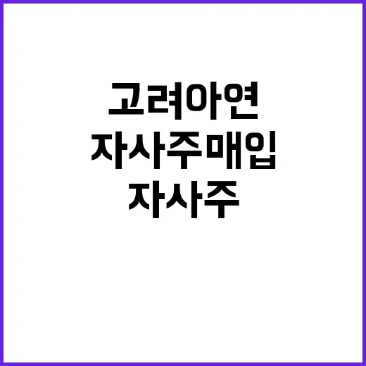 고려아연 자사주 매입에 법원 판결 승소!