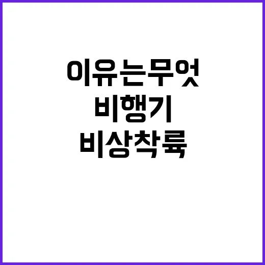 룰라 비행기 멕시코…