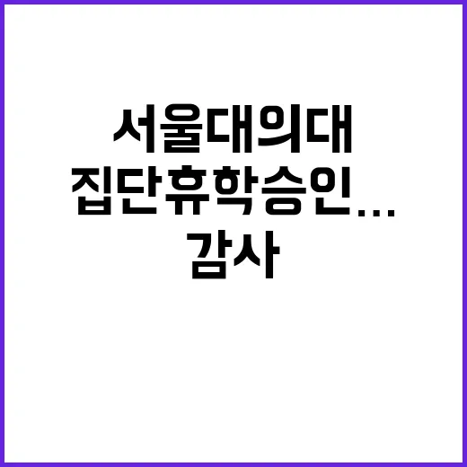 서울대 의대 집단휴…