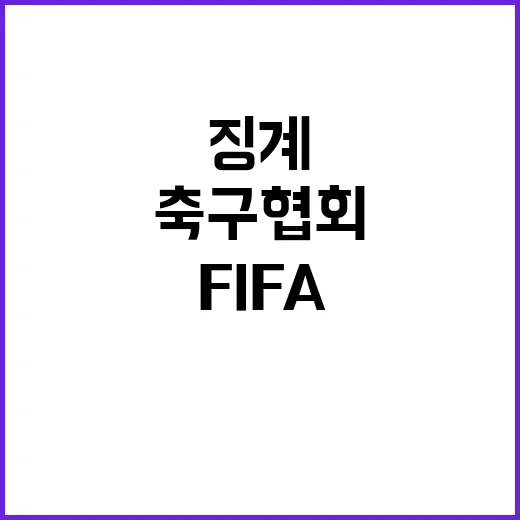 FIFA 대한축구협…