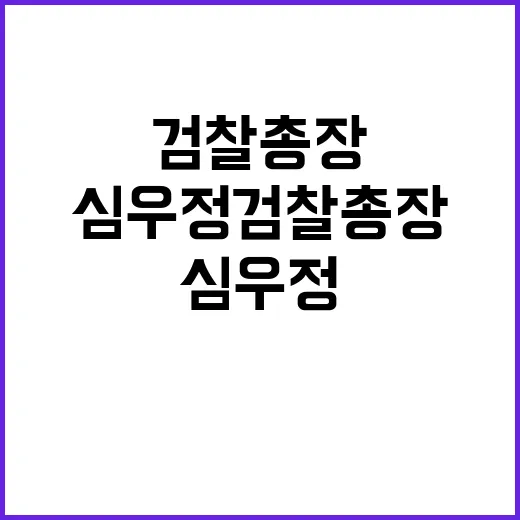 묵묵부답 심우정 검…