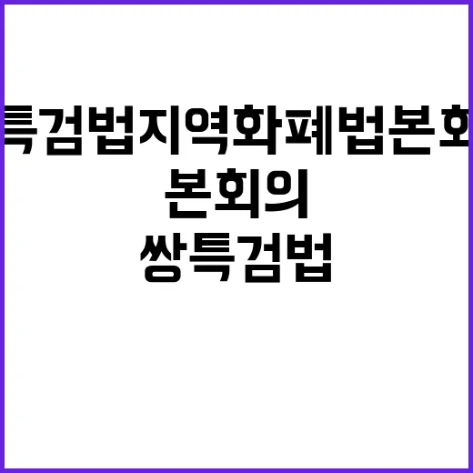 쌍특검법 지역화폐법 본회의 재표결 결과는?