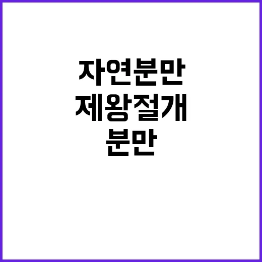 제왕절개 증가 자연…