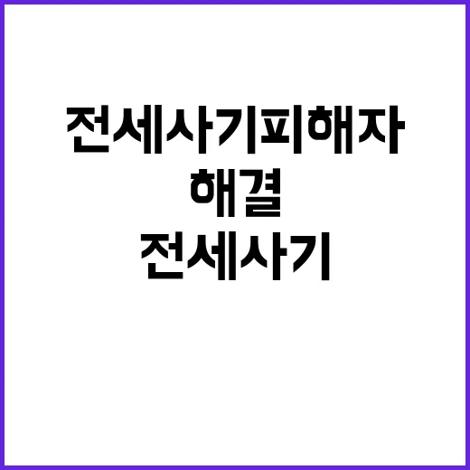 전세사기피해자 급증 1554건 해결된 이유는?