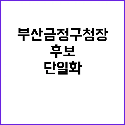 단일화 결렬 부산 금정구청장 후보의 충격적인 결정!