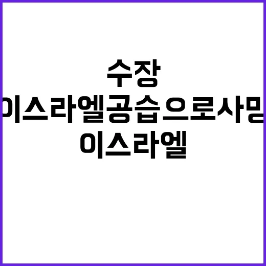 레바논 무장정파 수장 이스라엘 공습으로 사망 추정!