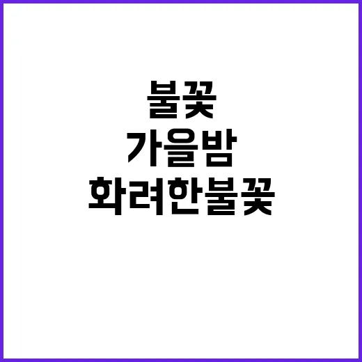 100만 인파 가을밤 화려한 불꽃놀이의 감동