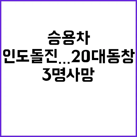 사고 승용차 인도 돌진…20대 동창 3명 사망!