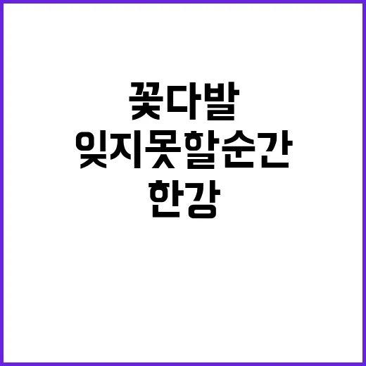 한강 꽃다발 잊지 못할 순간이 기다린다!