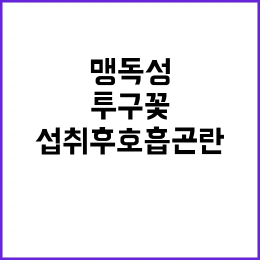 투구꽃 맹독성 뿌리 섭취 후 호흡곤란 발생!