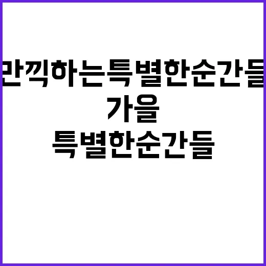 가을 도심에서 만끽하는 특별한 순간들 발견!