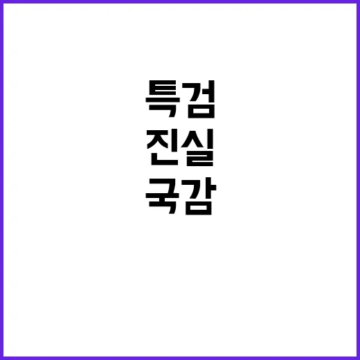 국감 의혹 대통령 …