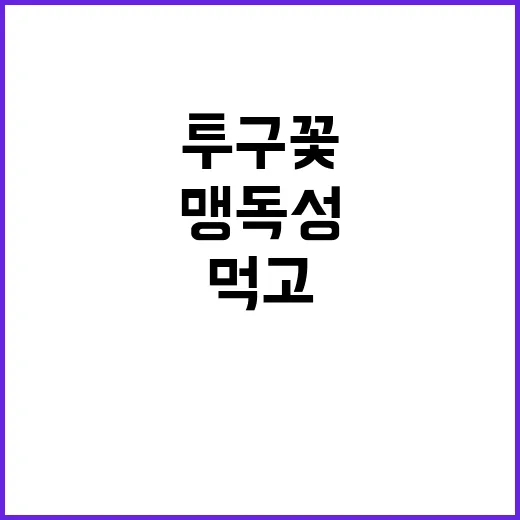 투구꽃 맹독성 뿌리 먹고 호흡곤란 발생!