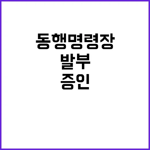 증인 발부 동행명령…