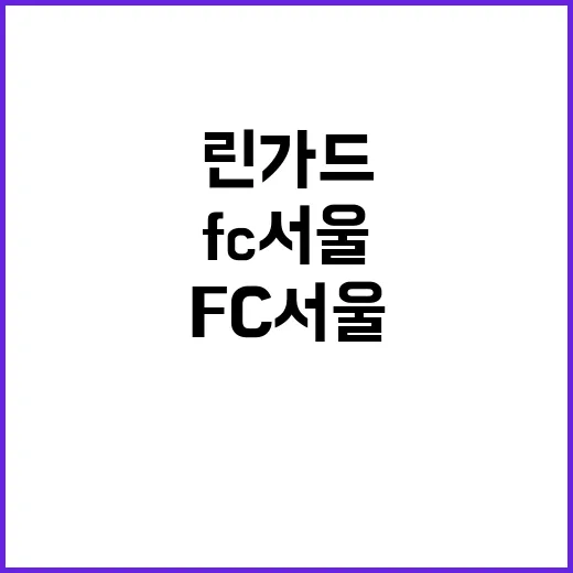 린가드 국정감사 F…