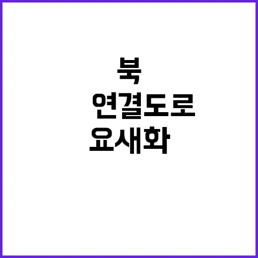 통일 외침! 북 南…