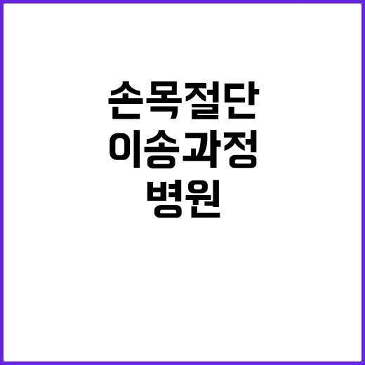 손목 절단 병원 이송 과정의 충격적 진실!