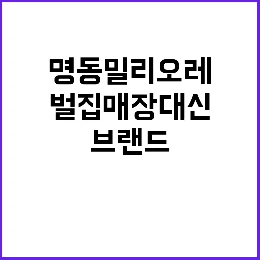 벌집매장 대신 브랜드… 명동 밀리오레 6년만의 귀환