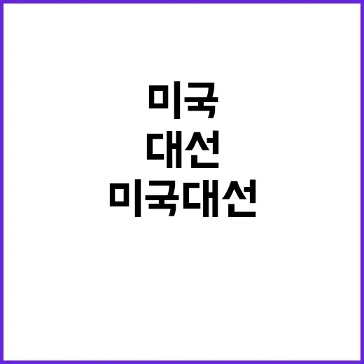 허리케인 미국 대선…