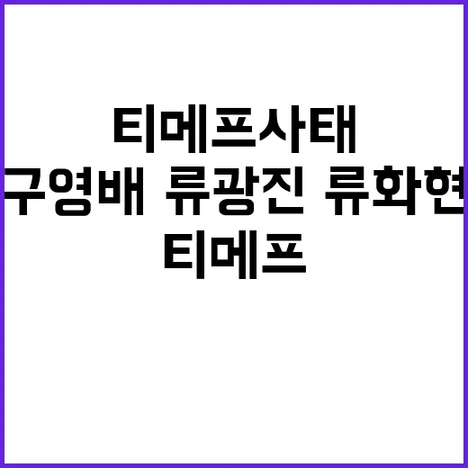 ‘티메프 사태’ 구영배·류광진·류화현 운명은?